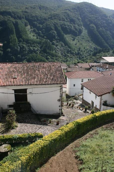 Gartzinea, Amplia Y Preciosa Vivienda Rural Apartman Ezkurra Kültér fotó