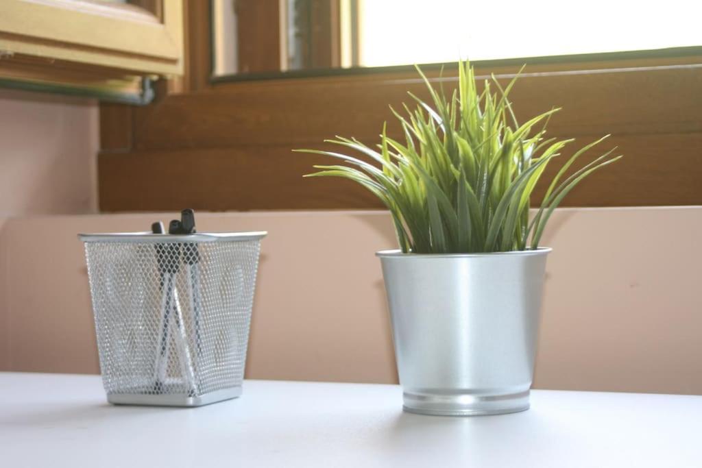 Gartzinea, Amplia Y Preciosa Vivienda Rural Apartman Ezkurra Kültér fotó