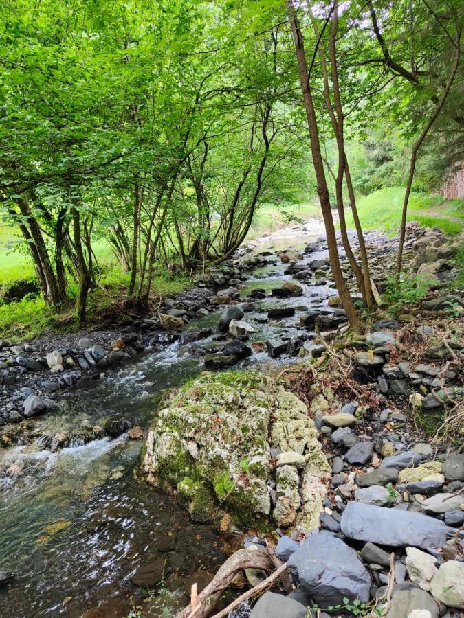 Gartzinea, Amplia Y Preciosa Vivienda Rural Apartman Ezkurra Kültér fotó